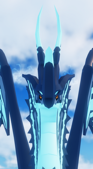 Head front view