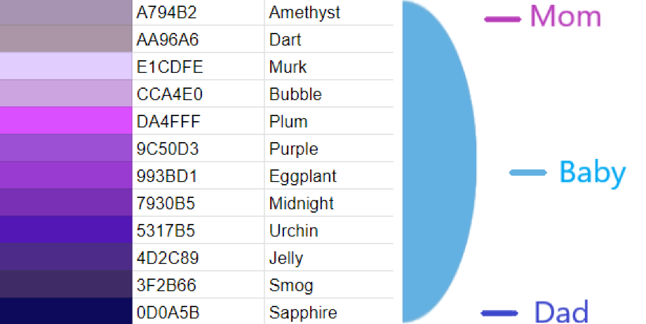 Colour Information Dragon Adventures Wiki Fandom