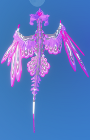 Top view