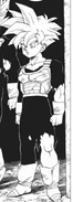 Gohan w Opanowanym Super Saiyaninie.[18]