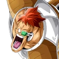 Recoome face