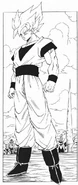 Son Goku po całkowitym opanowaniu Super Saiyanina.[41]