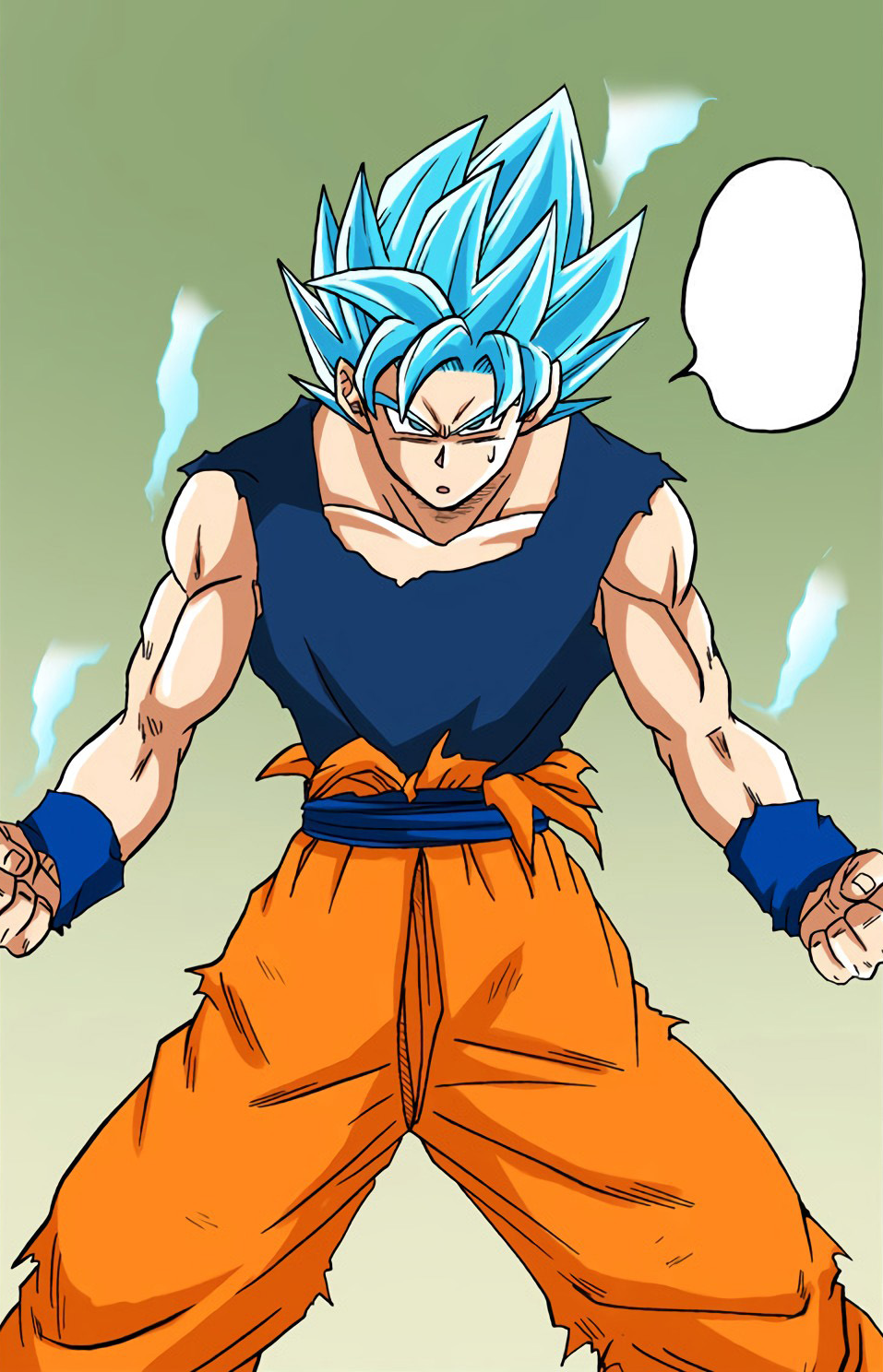 Perfected Super Saiyan Blue Dragon Ball Void Warriors Wiki Fandom