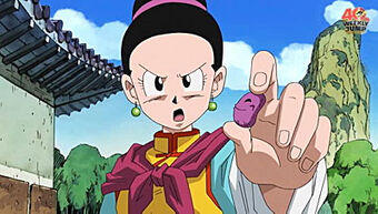 Chi-Chi | Dragon Ball SF Universe Wiki | Fandom