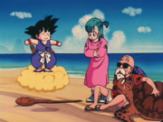 GokuRoshiBulmaTurtleCloud