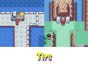 Tips-Feature
