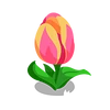 Titanic Tulip