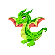 Watermelon Adult