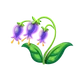 Bluebell