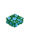 Blue Hedge