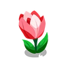 Tiny Tulip