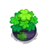 Pot o' Luck
