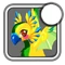 Iconparakeet4