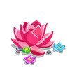 Super Succulent