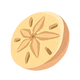 Sand Dollar