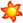 Shine Dragons