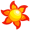 Shine Dragons
