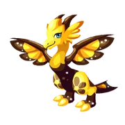 Asterales Adult