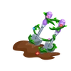 Growing Blooms