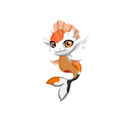 Koi Baby