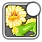 Icondaisy4