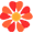 Flower Dragons