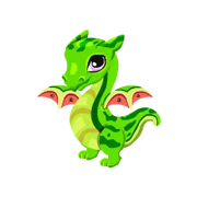 Watermelon Juvenile