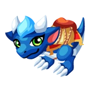 Merchant Baby
