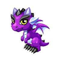 baby purple dragon