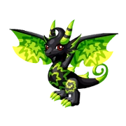Chamaeleon Adult