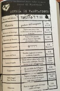 Pagella Topicco libri