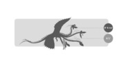 Image-1423428886