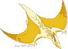 Pterodragon Teenager - Gold