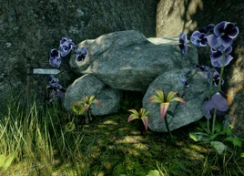 The-Tiniest-Cave-Start