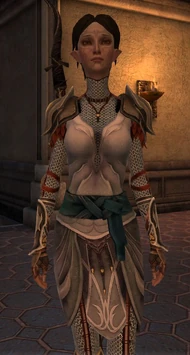 Raiments of the Dalish Pariah