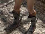 Boots of the Champion (warrior)