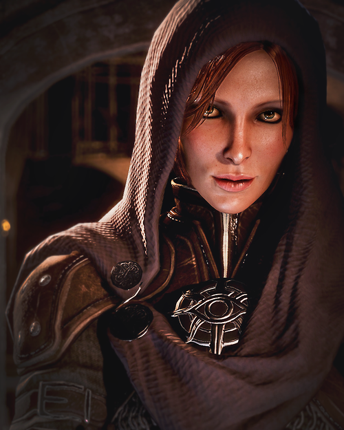 Dragon Age: Origins Wynne comments on Leliana romance #1 