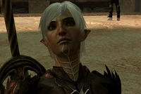 Arishokost. Maaras shokra