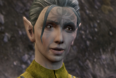 Warden Commander Mahariel – Eldalagren