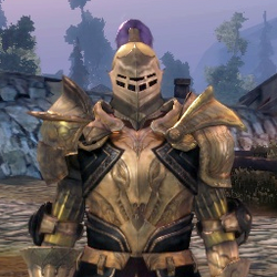 Warden Commander armor set, Dragon Age Wiki, Fandom