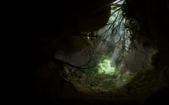 Risse in den Wäldern - Riss in der Höhle des alten Simeon