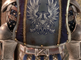 Warden Tower Shield