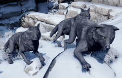 A wolf pack in Dragon Age: Inquisition