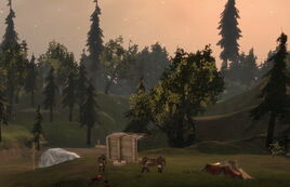 Area-Forest Meadow.jpg
