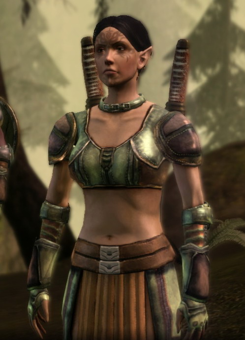 Dalish Elf Origin, Dragon Age Wiki