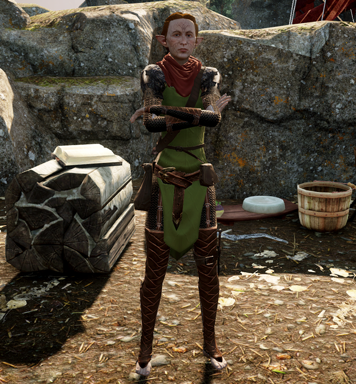 dragon age origins camp