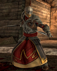 Templar Hunter in Dragon Age II