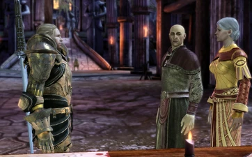 Uldred in König Cailans Kriegsrat vor der Schlacht von Ostagar