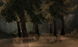 Area-Wooded Hills