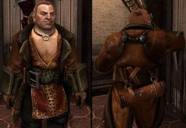 DA2 Varric's Tailored Leather Duster - (companion armor)